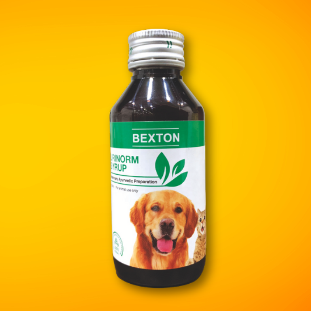 BEXTON URINORM SYRUP